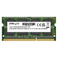 PNY DDR3L PC3 12800-1600 MHz RAM 8GB